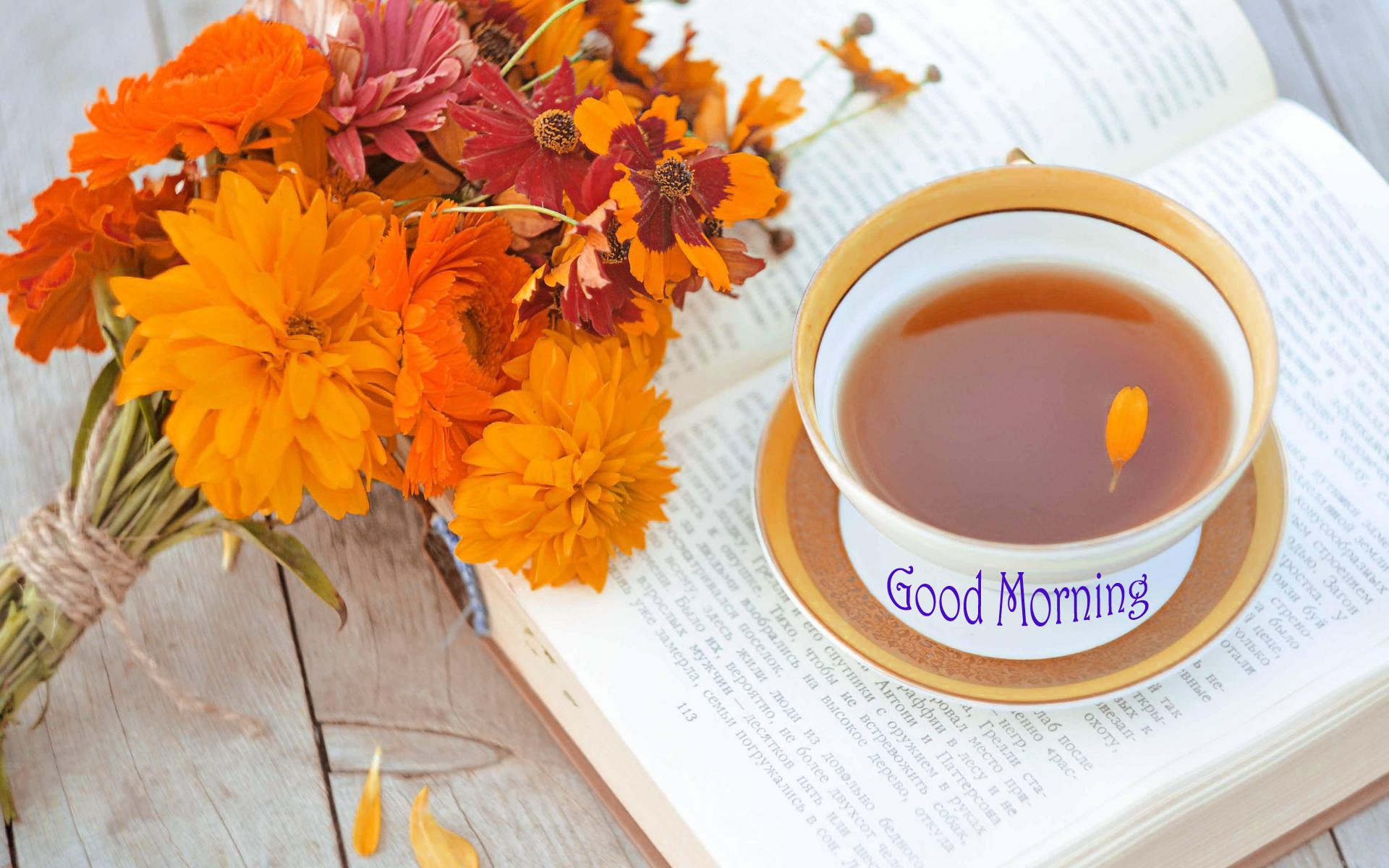 Good Morning Orange Thursday Flower - HD Wallpaper 