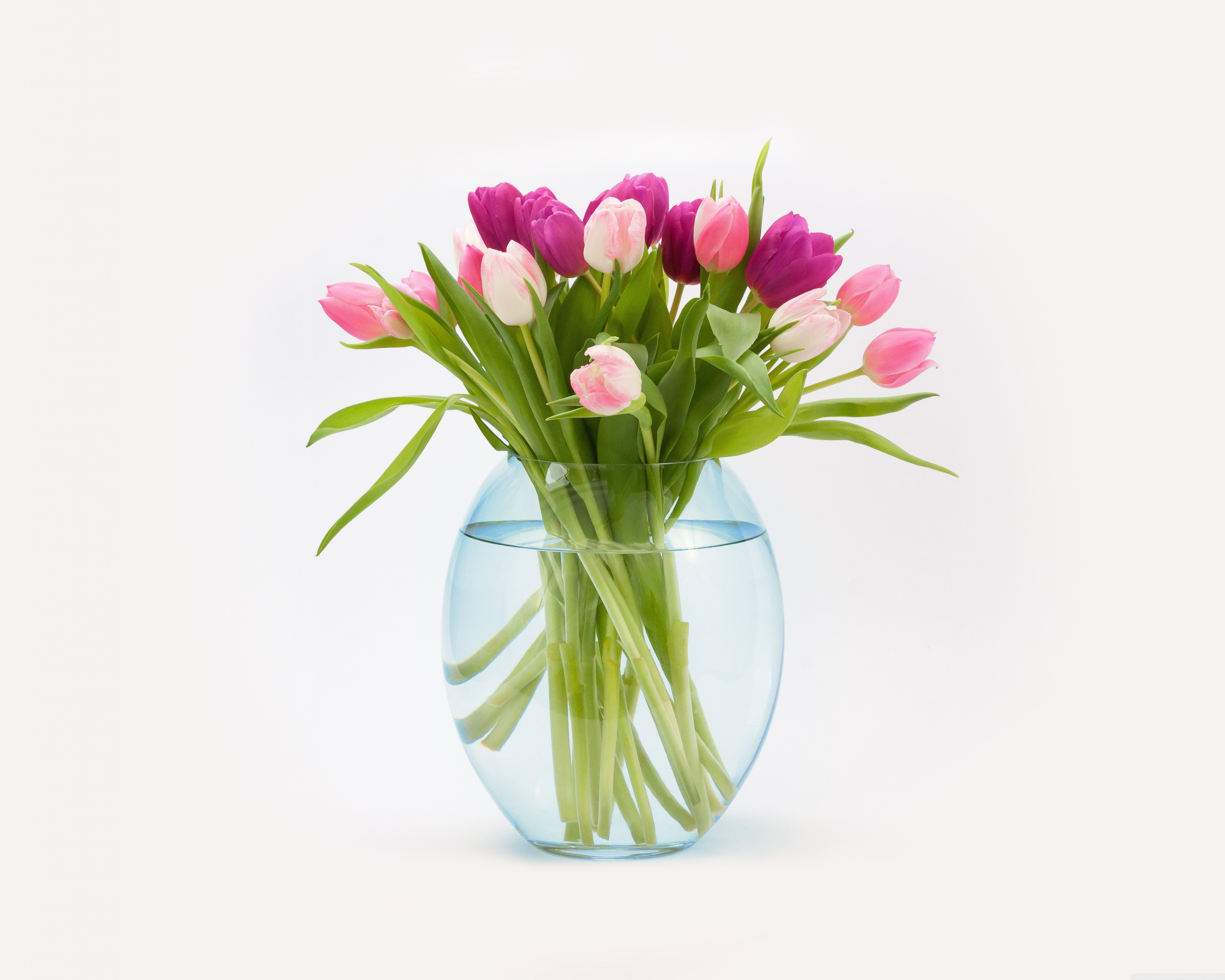 Retirement Quotes In Telugu - HD Wallpaper 