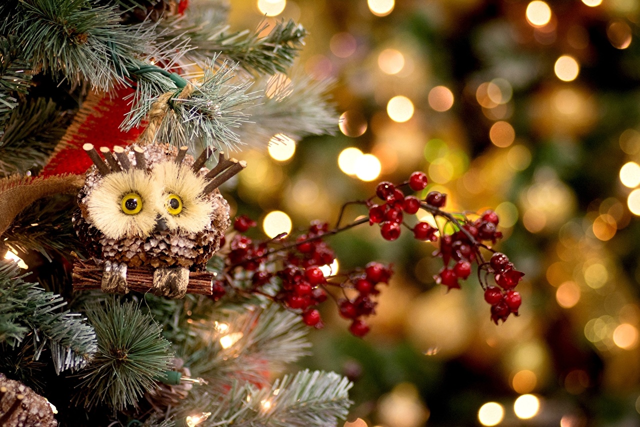 Christmas Wallpaper Owls - HD Wallpaper 