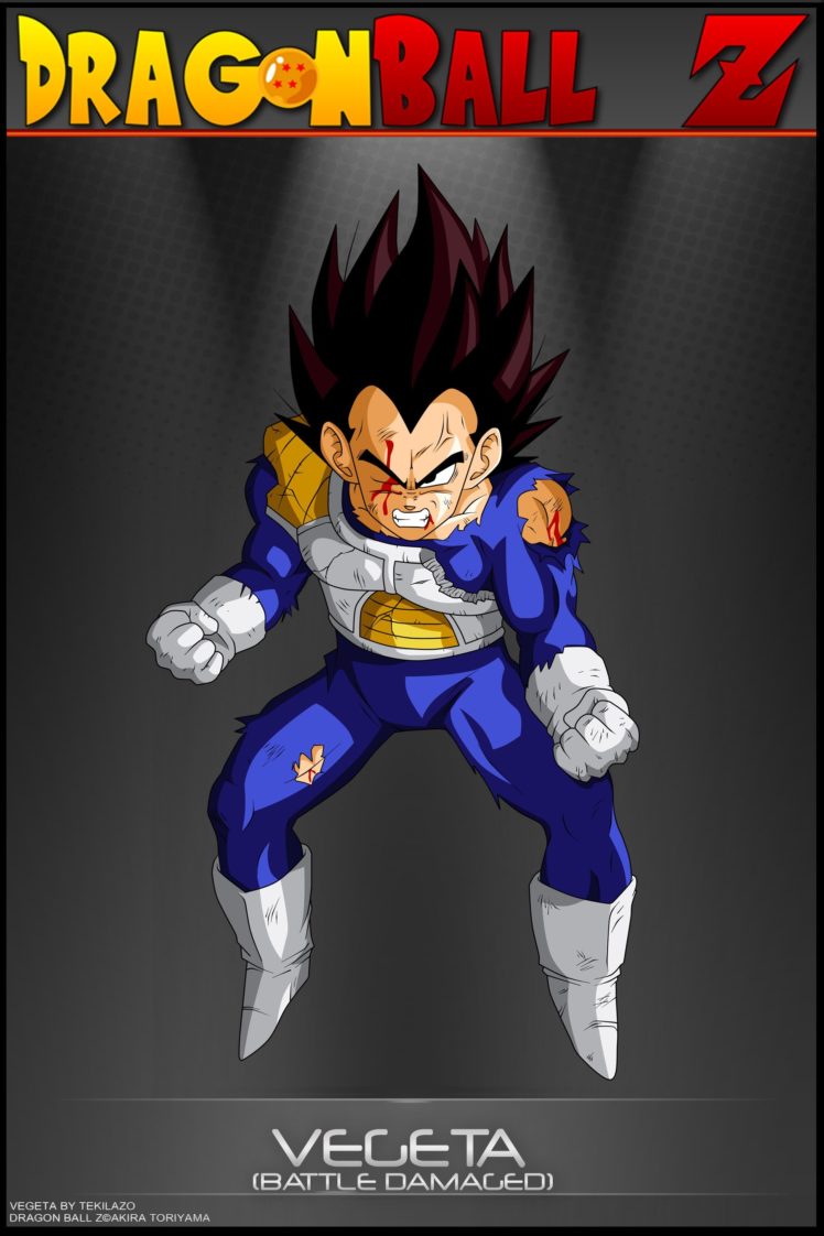 dragon ball z vegeta ssj