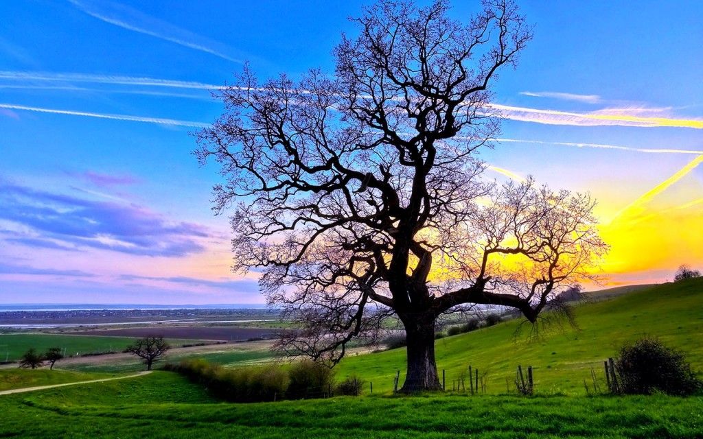 Download Images For Pc - 1024x640 Wallpaper - teahub.io