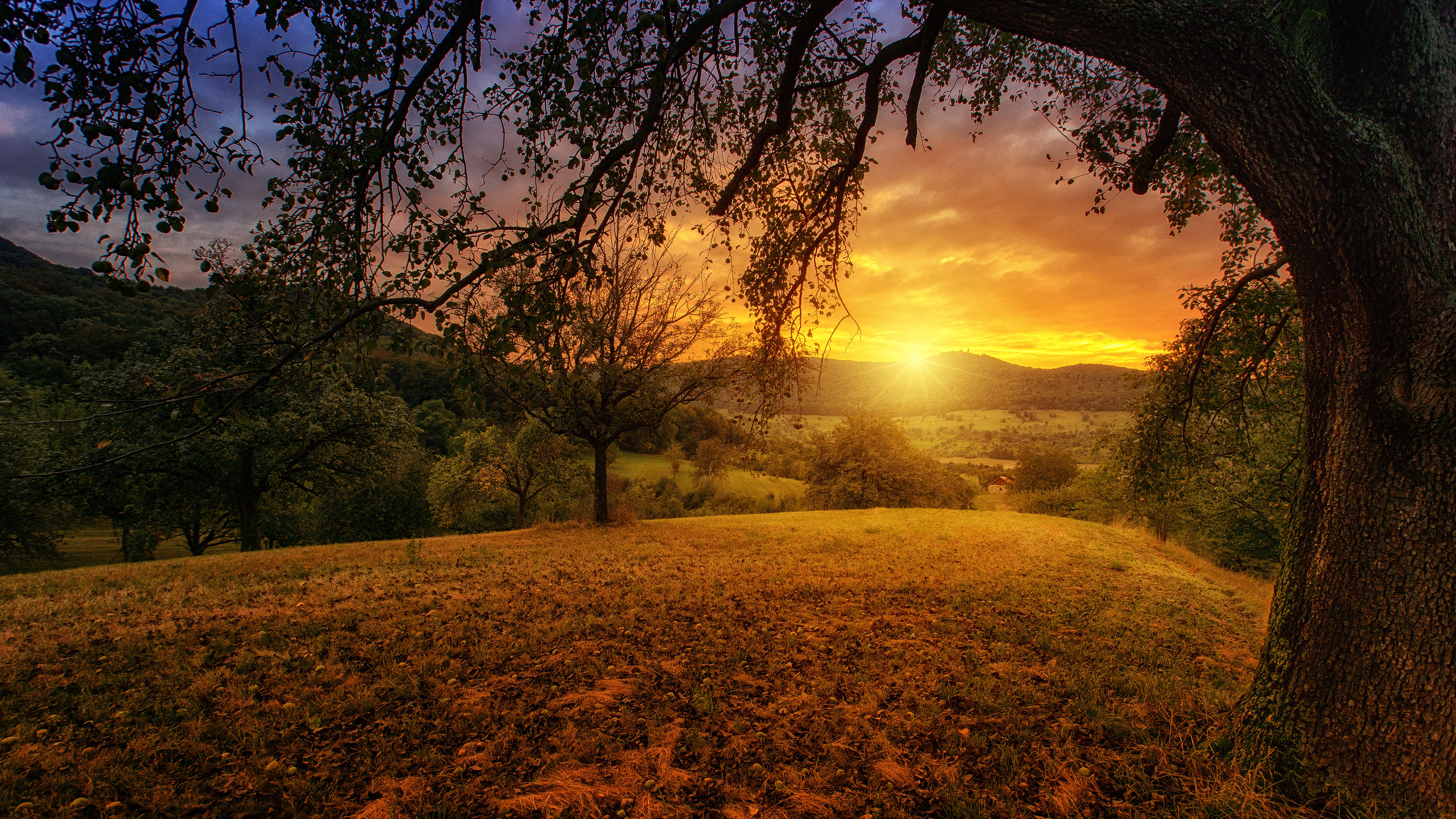 Sunset Over A Field - HD Wallpaper 