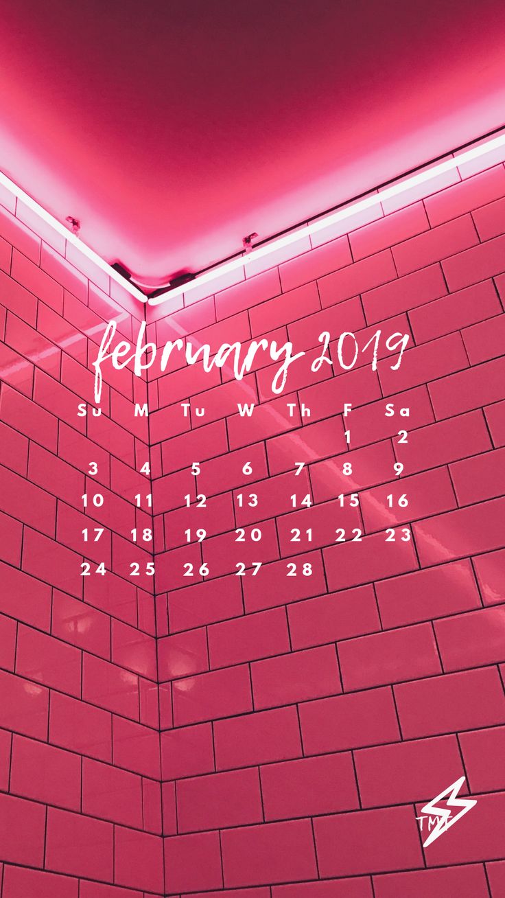 Iphone Or Android February 2019 Wallpaper - Wall - HD Wallpaper 