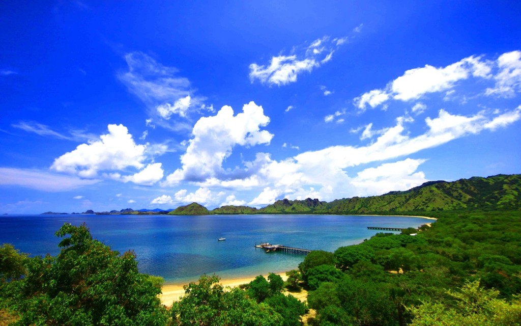 Nice Wallpapers Download-7 - Pemandangan Laut Dan Hutan - HD Wallpaper 