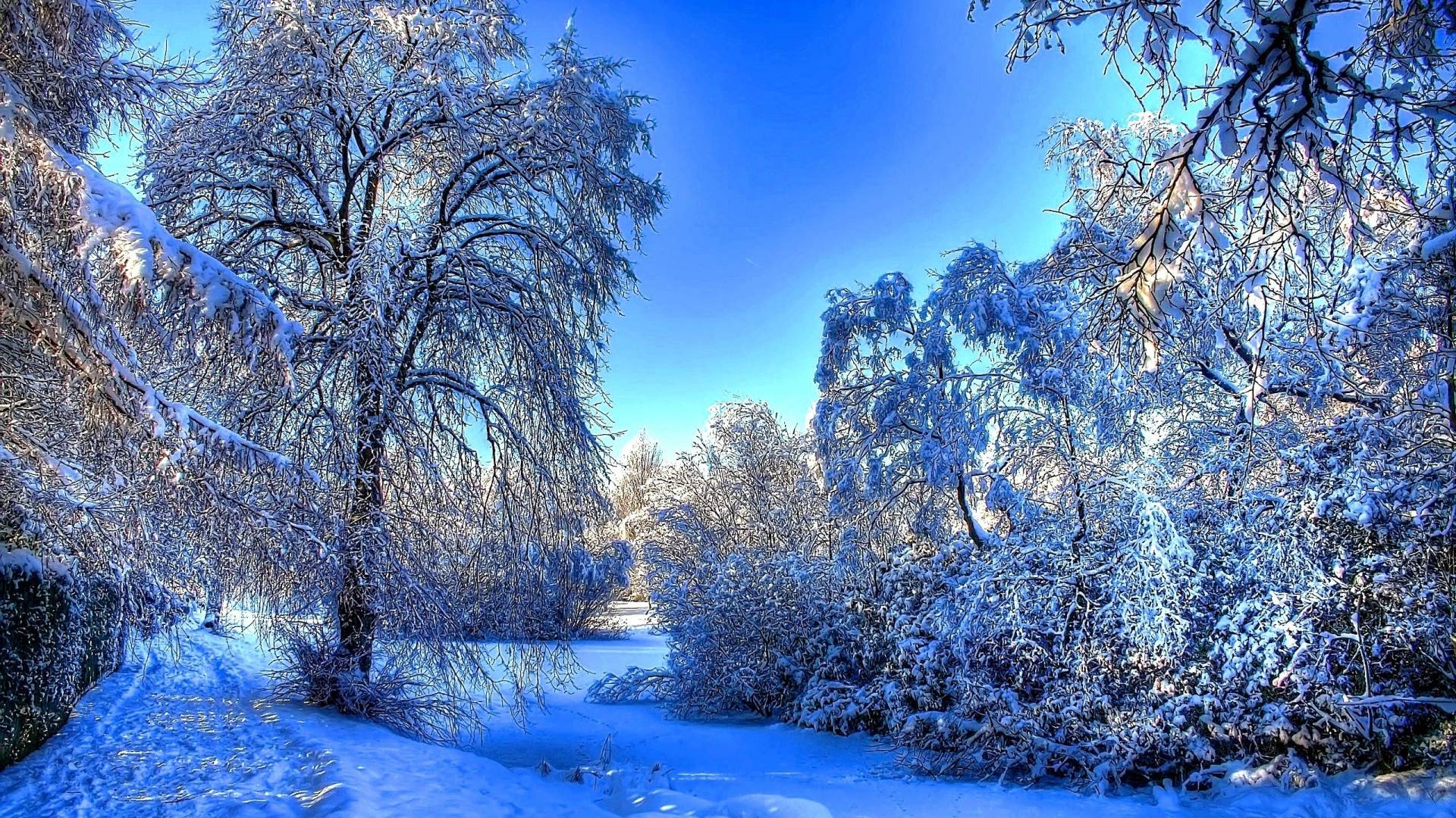Winter Wallpaper Full Hd - HD Wallpaper 