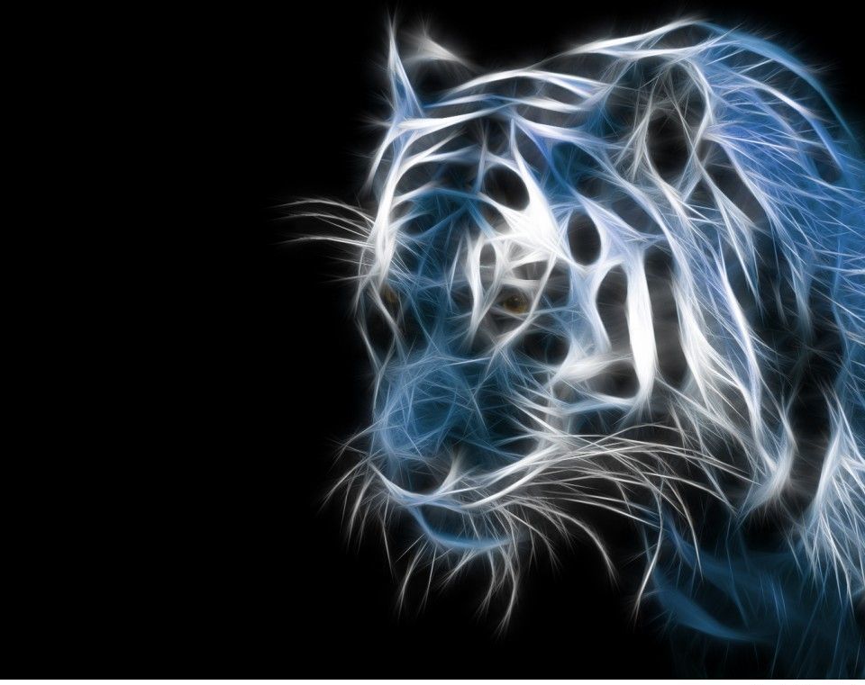 3d Wallpaper For Android Animal Image Num 24
