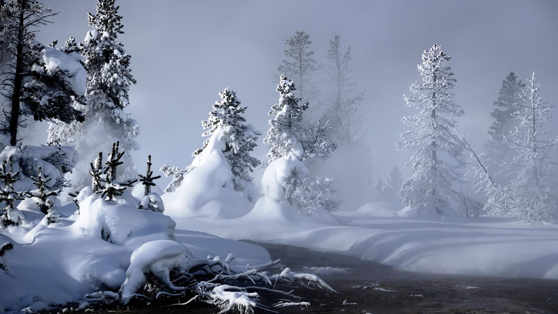 Winter Hd 750 Full Hd Wallpapers Desktop - Snow Landscape - 1920x1080  Wallpaper 