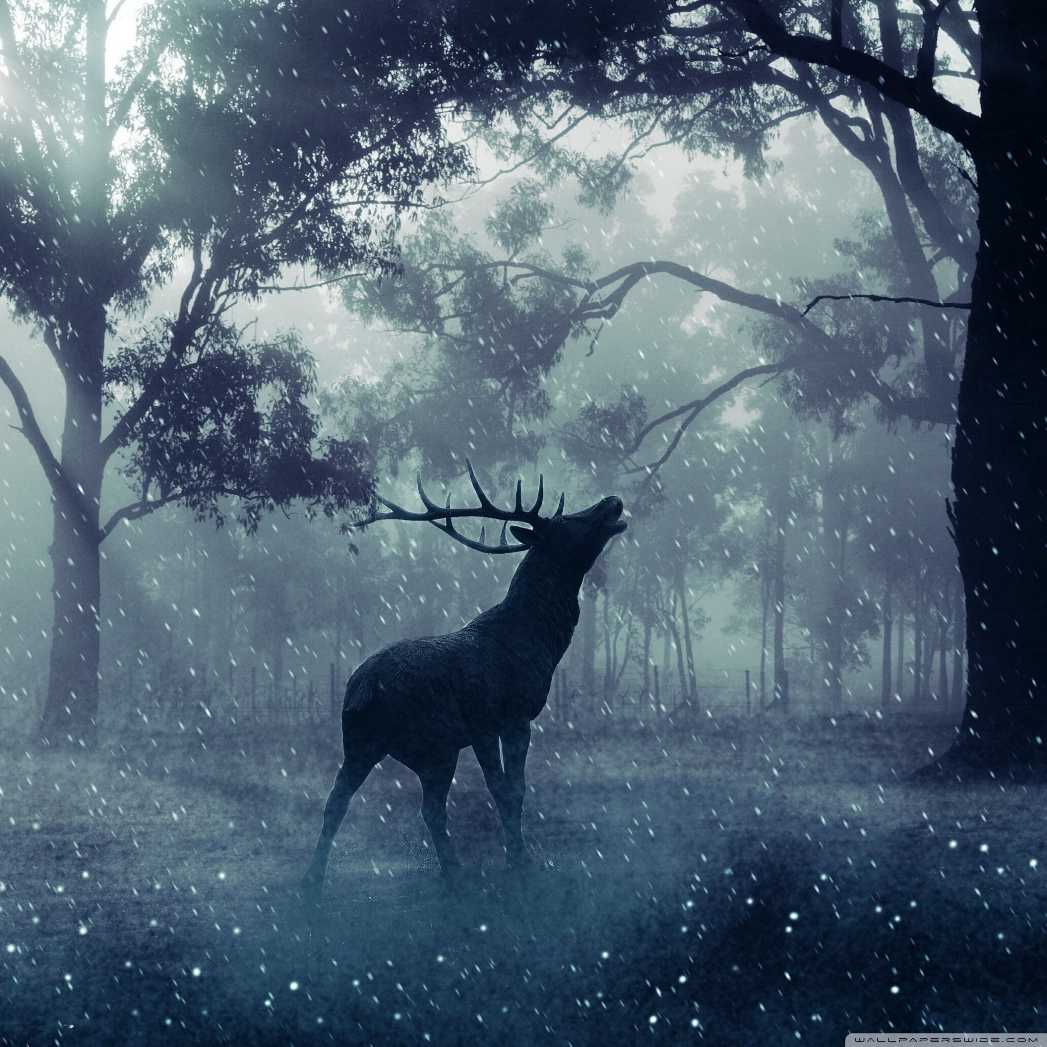 Fantasy Deer In The Forest 2048x2048 Wallpaper Teahub Io