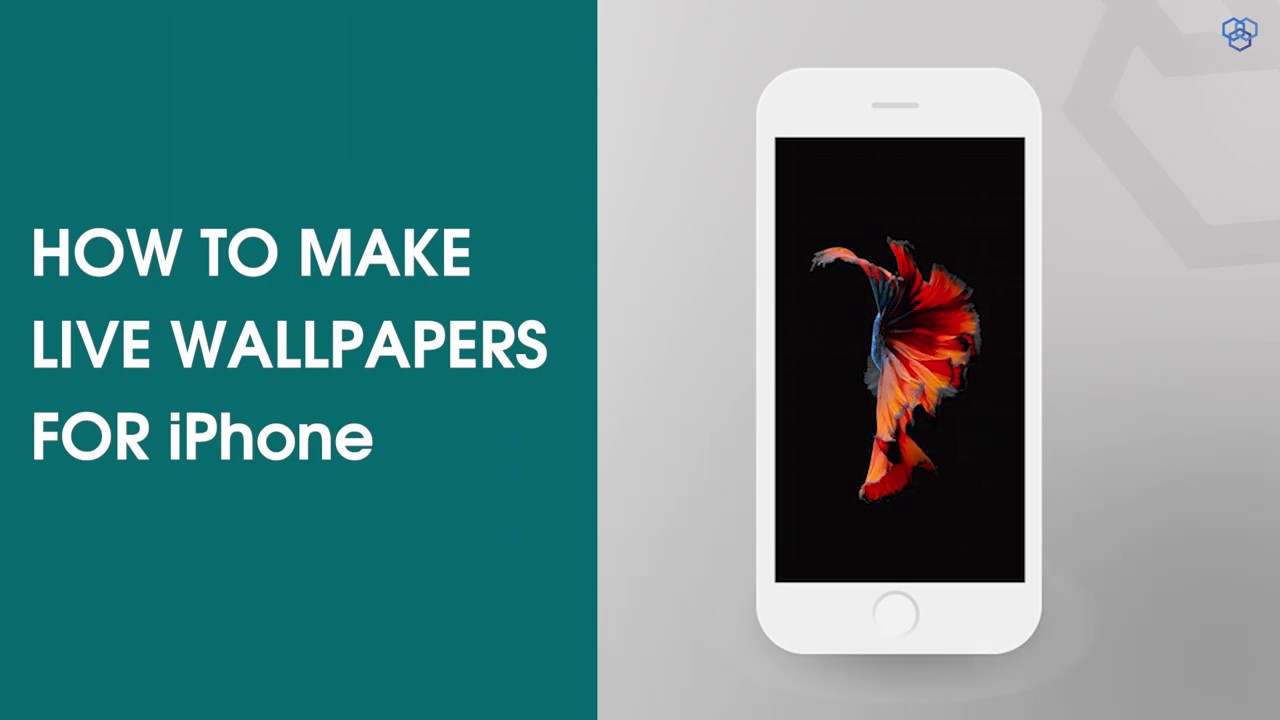 Perkeo Of Heidelberg - HD Wallpaper 