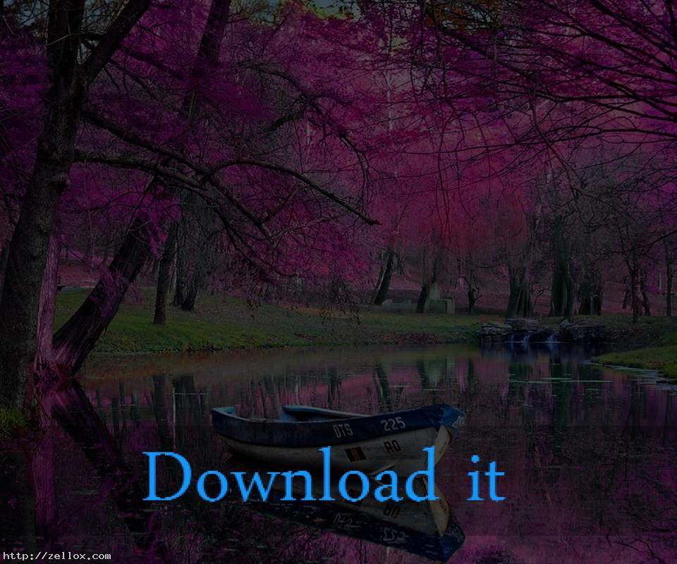 Wallpaper Download Free Image Search - Reflection - HD Wallpaper 