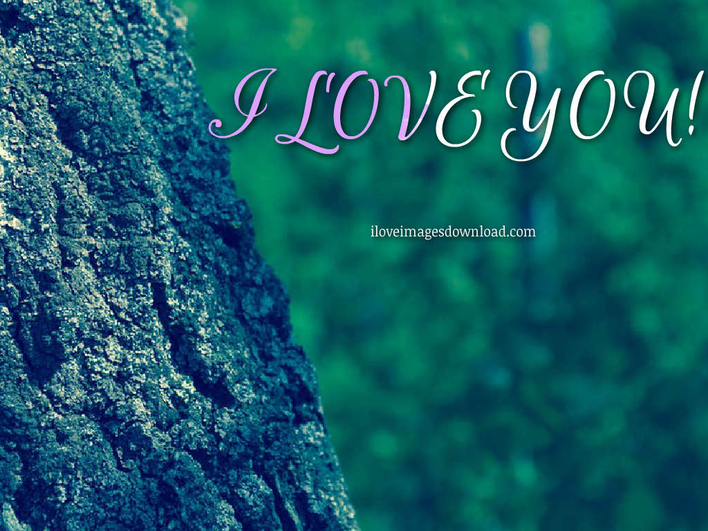 I Love You Name Image - Picsart Hd Blur Background - 1024x768 Wallpaper -  
