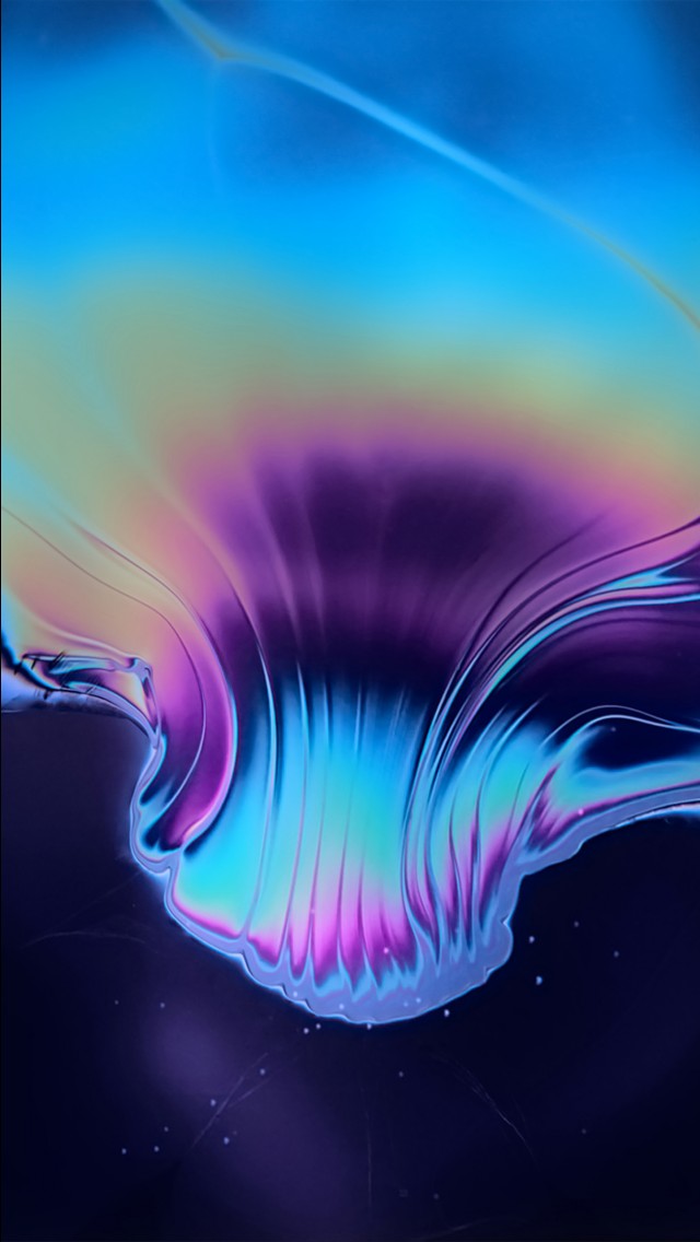 Jellyfish Iphone Xr Background - HD Wallpaper 