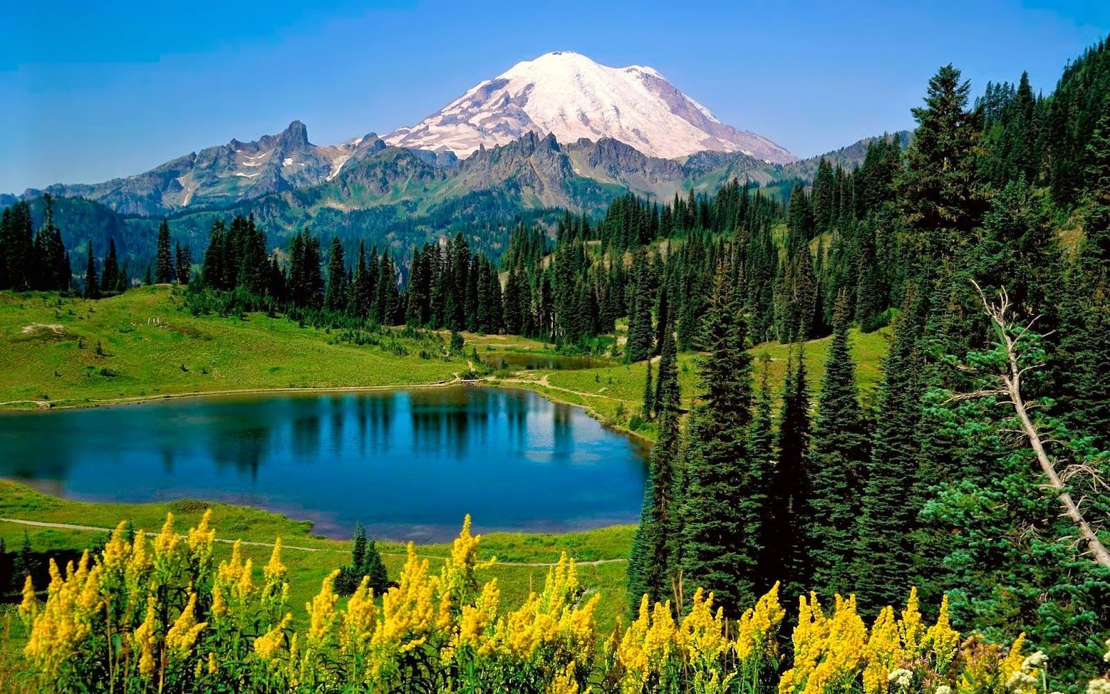 Wallpapers Hd 1080p Free Download For Mobile, Windows - Mount Rainier National Park, Sunrise Lake - 1600x1000 Wallpaper Wallpapers Hd 1080p Free Download For Mobile, Windows - Mount Rainier National Park, Sunrise Lake - 1600x1000 Wallpaper