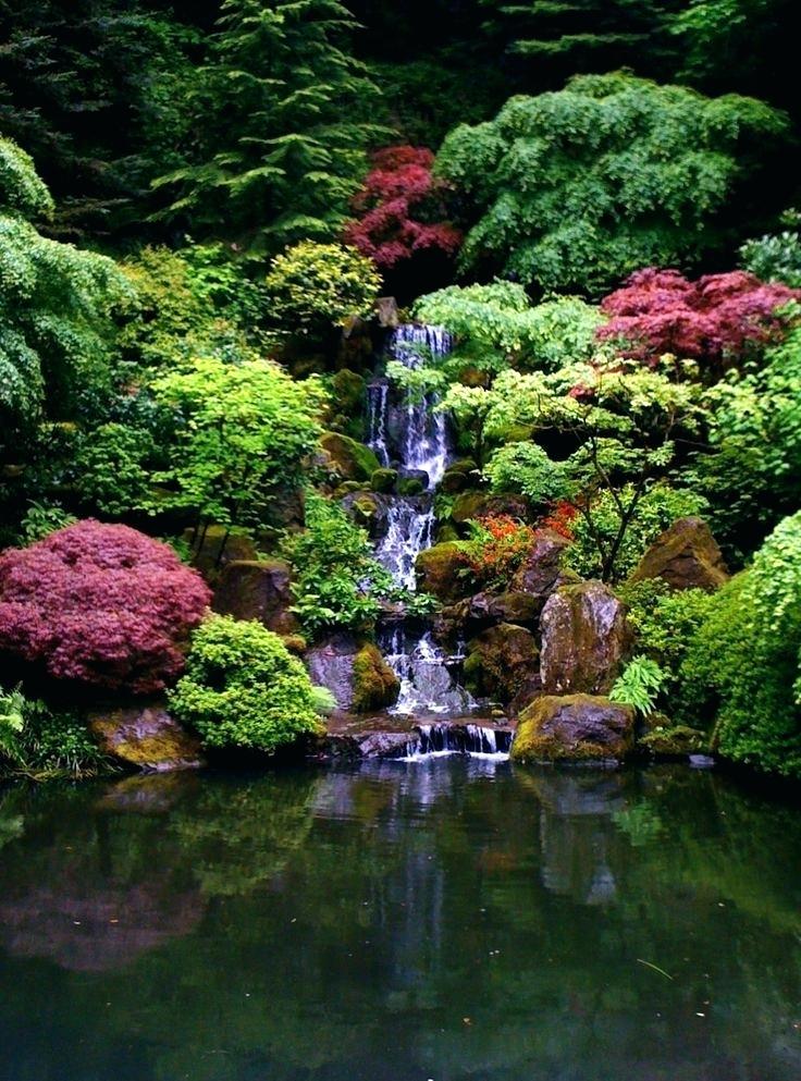 Download Lotus Flower Green Nature Wallpaper Hd Desktop - Washington Park, Japanese Garden - HD Wallpaper 