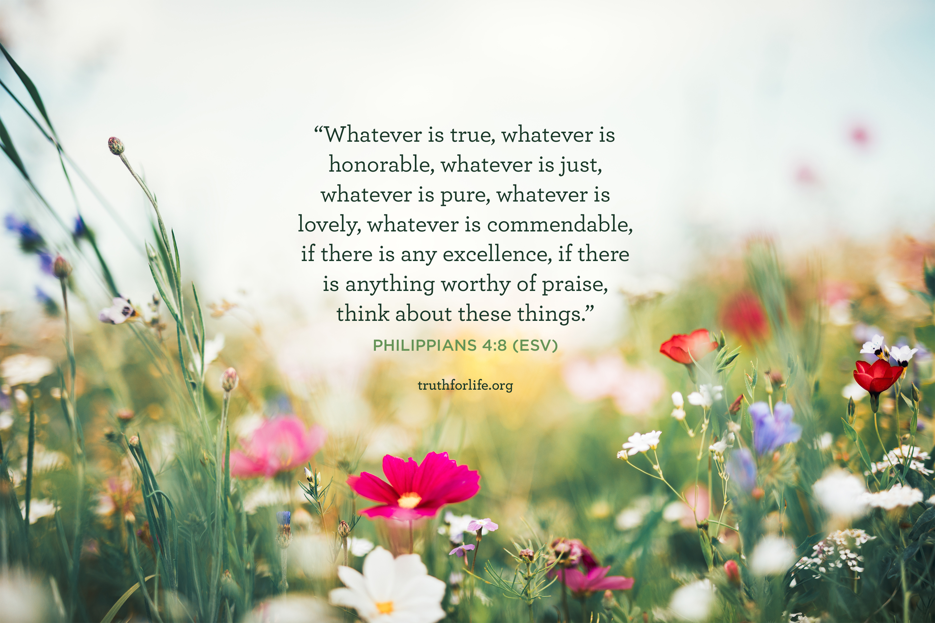 Philippians 4 8 Scripture Wallpaper For Phone - HD Wallpaper 