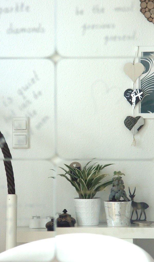 Houseplant - HD Wallpaper 