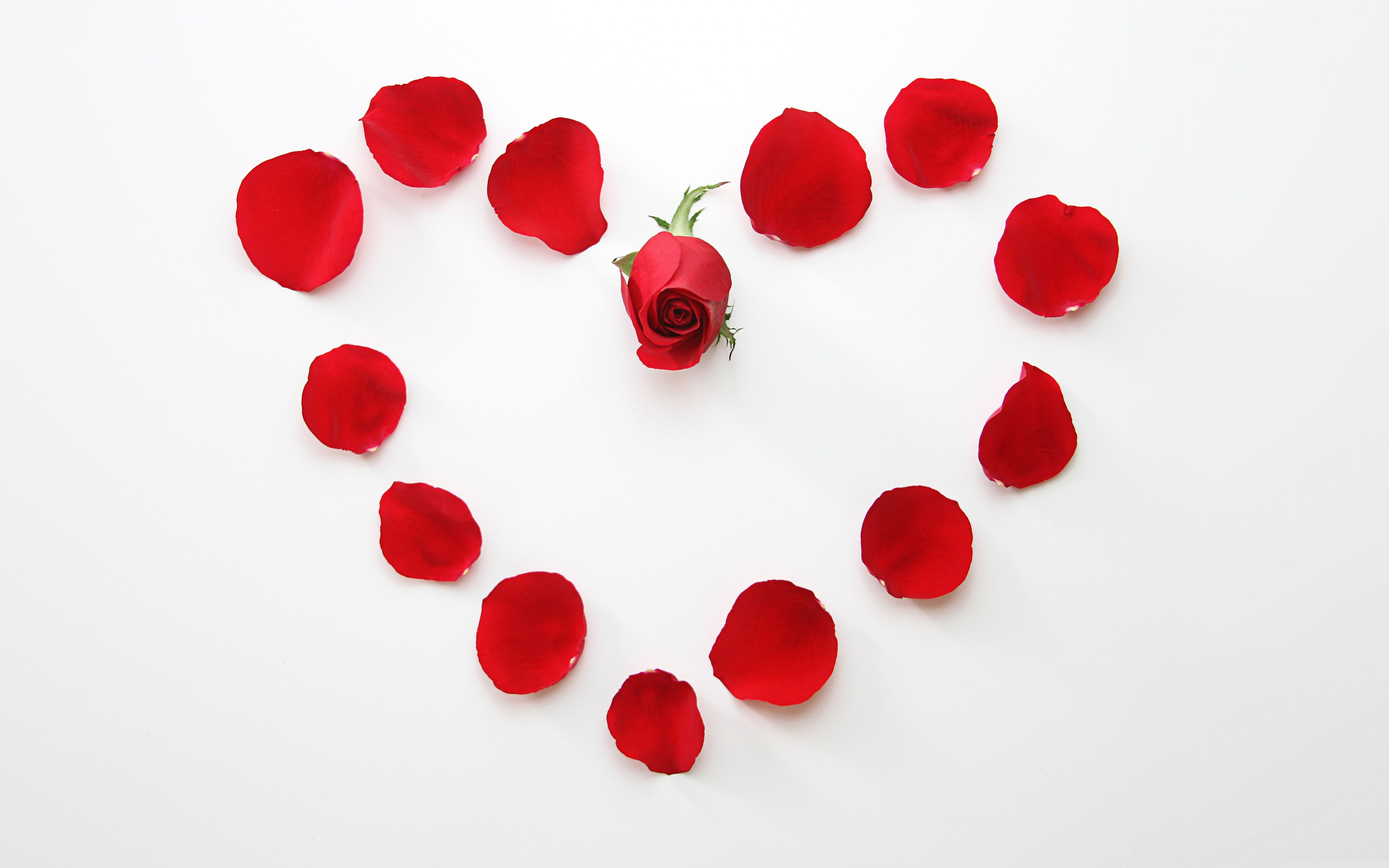 Com ❤ Love Hd Desktop Wallpapers For 4k Ultra Hd Tv - Coraçoes Azuis E Rosas - 5120x3200 Wallpaper Com ❤ Love Hd Desktop Wallpapers For 4k Ultra Hd Tv - Coraçoes Azuis E Rosas - 5120x3200 Wallpaper