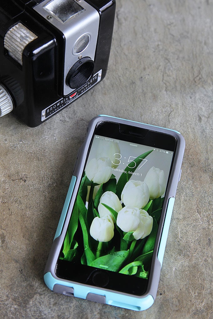 Spring Iphone Wallpaper And Desktop Background With - Feminine Wallpaper Iphone 6 - HD Wallpaper 