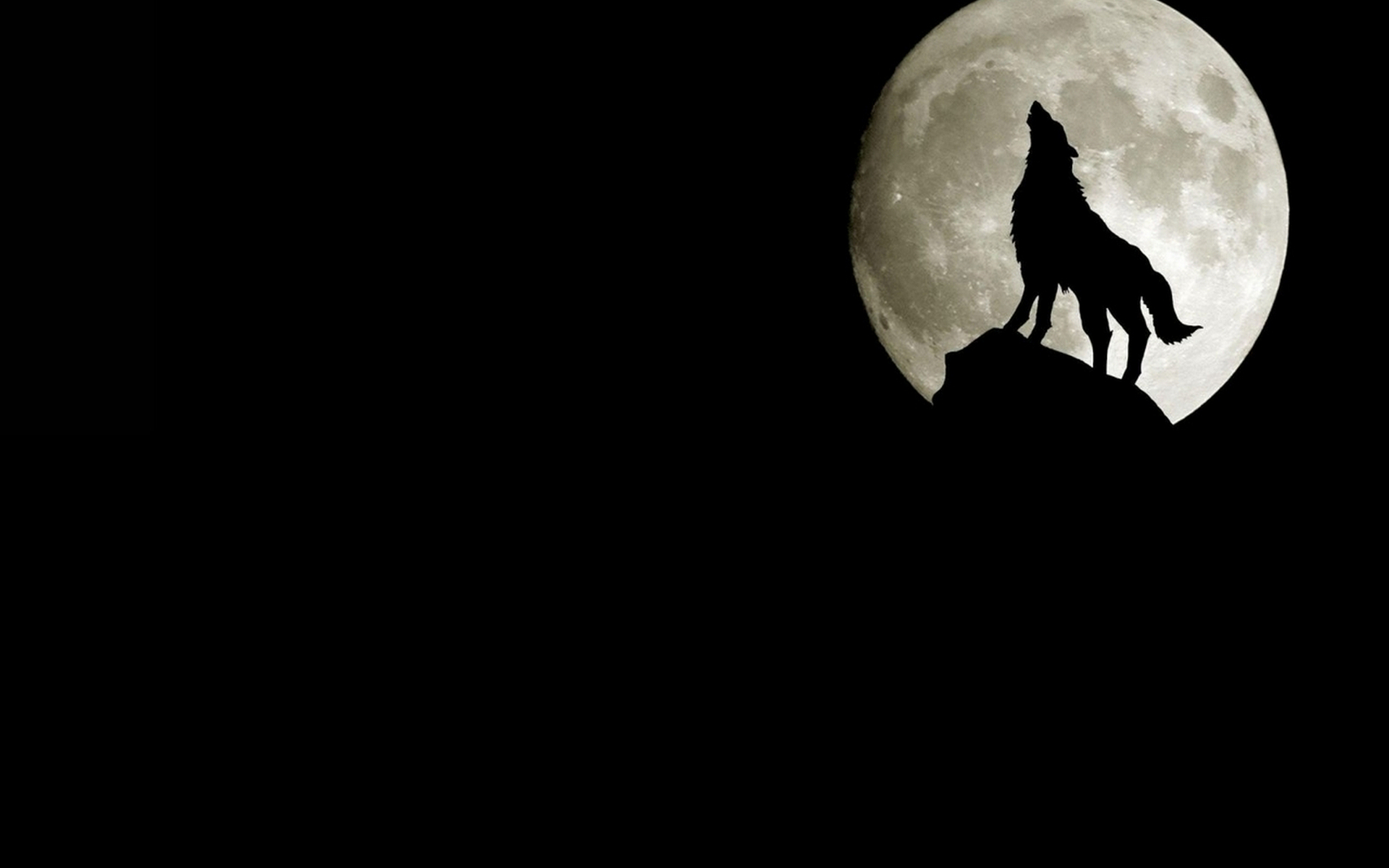 Wolf Moon - HD Wallpaper 