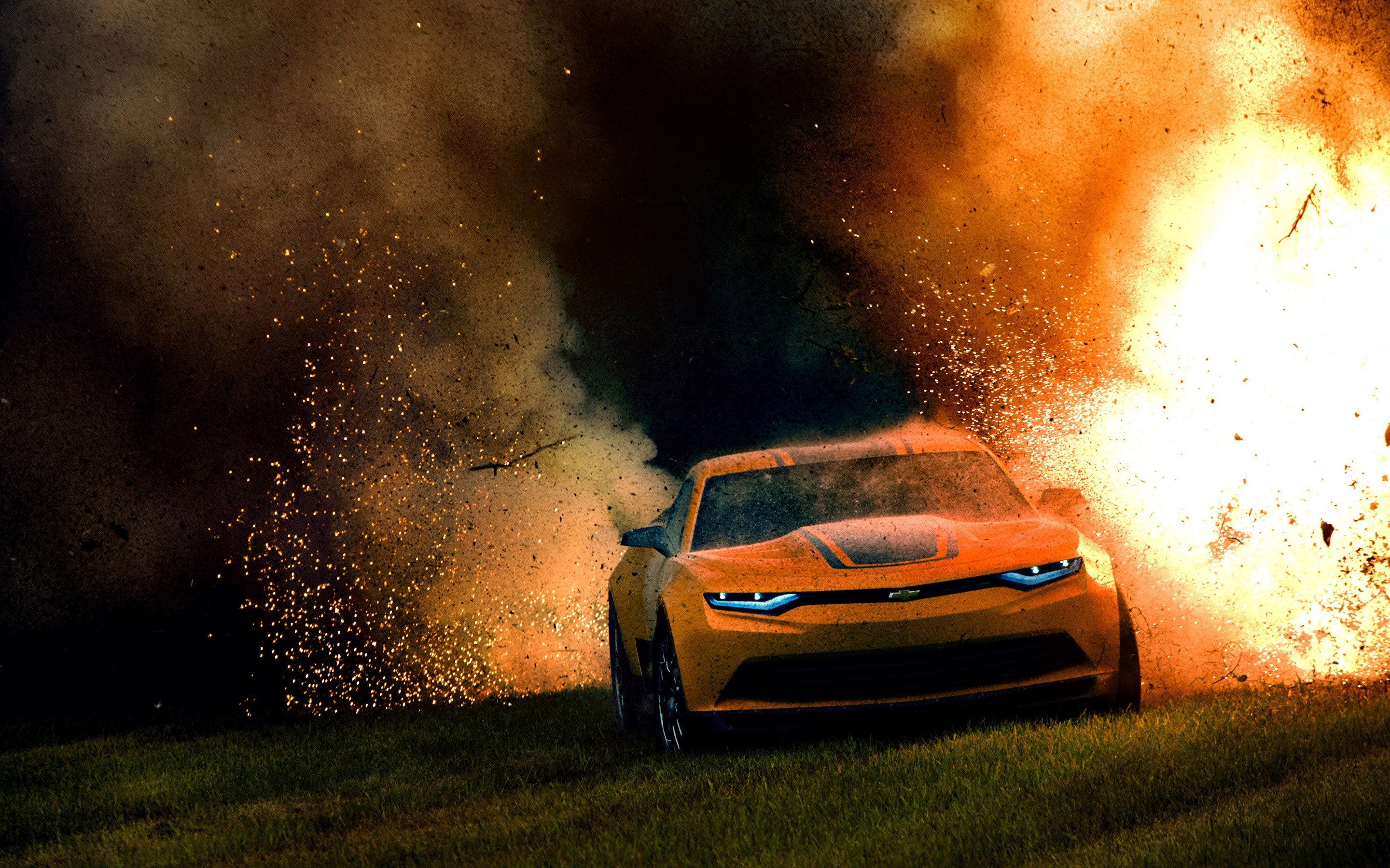 Hd Wallpaper Bumblebee - HD Wallpaper 