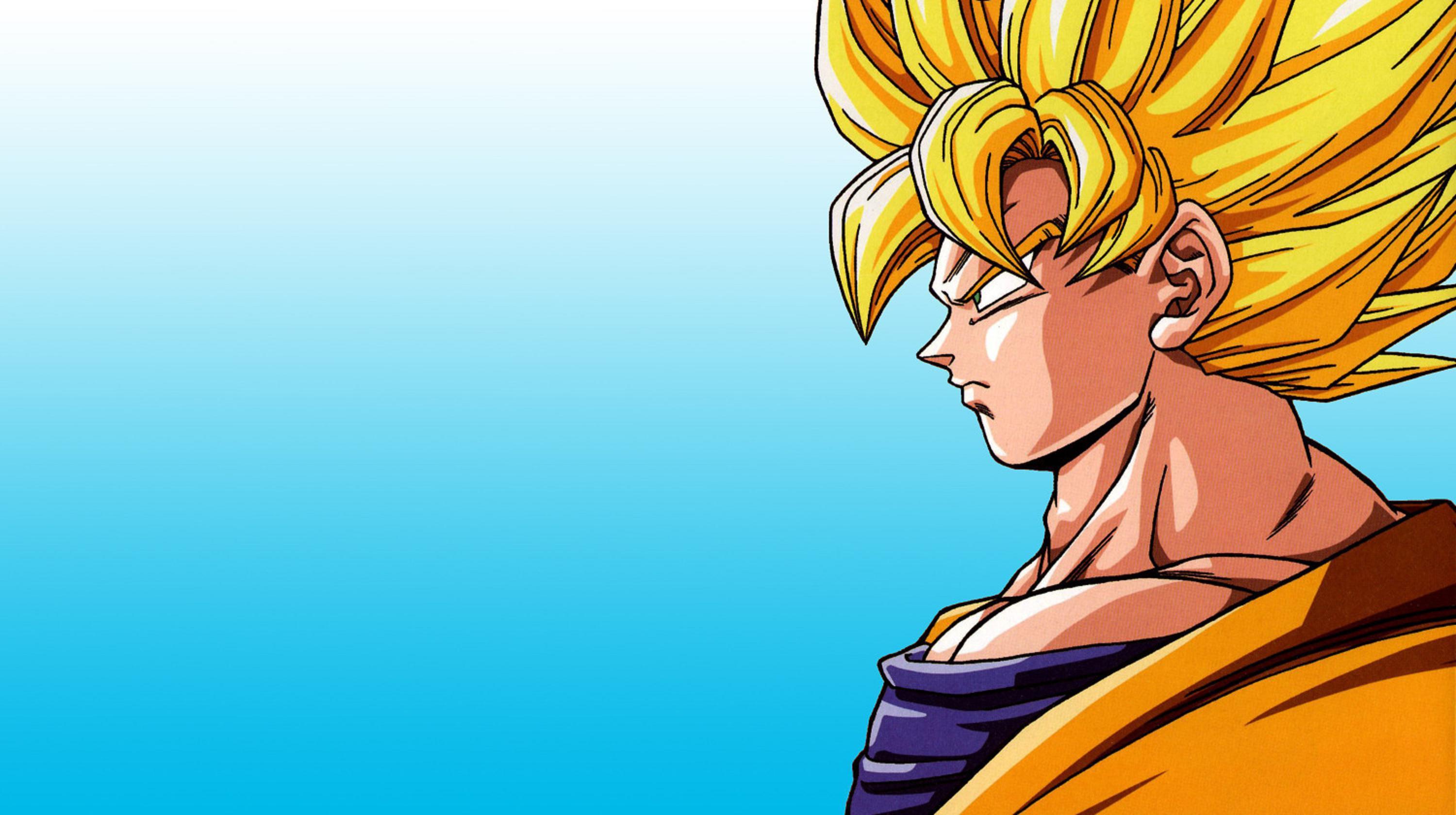 337,78 Kbyte Dsc100167711 - Dragon Ball Goku Side - HD Wallpaper 