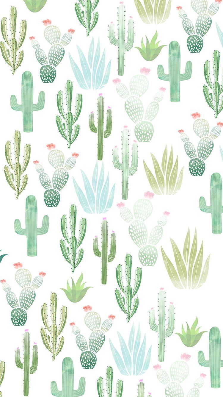 Cute Iphone Background - Cactus Phone Background - HD Wallpaper 