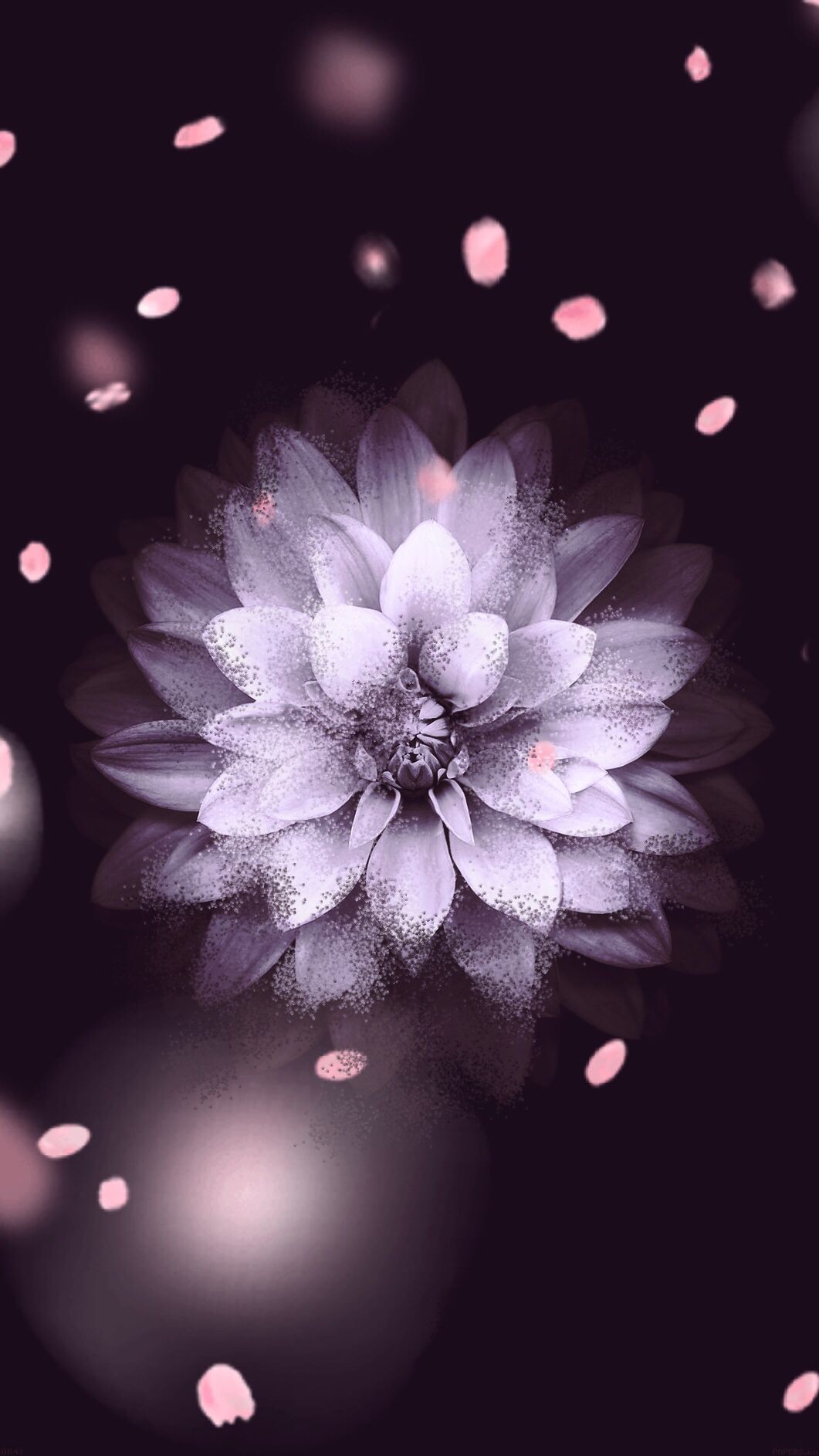 Iphone Xs Max Wallpaper Hd Flowers - 1061x1886 Wallpaper Iphone Xs Max Wallpaper Hd Flowers - 1061x1886 Wallpaper