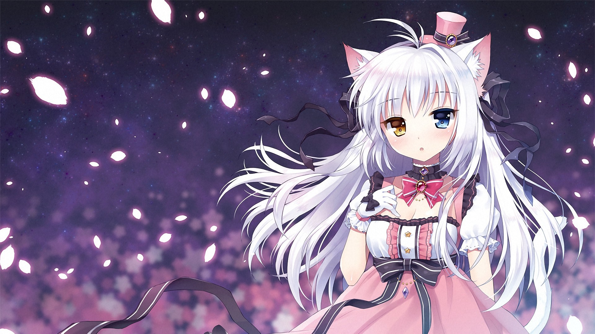 Cute Anime Cat Girl - HD Wallpaper 