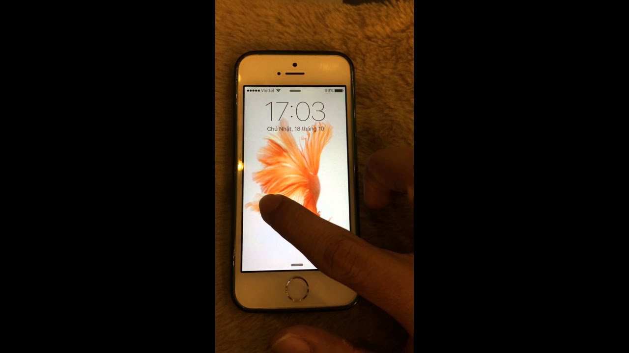 Live Wallpaper For Iphone 5s - 1280x720 Wallpaper - teahub.io