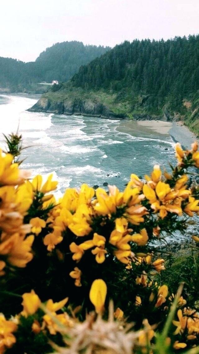 Heceta Head Lighthouse - HD Wallpaper 