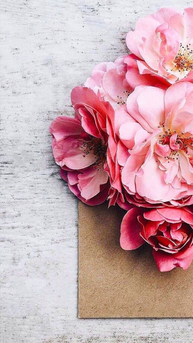 Floral Wallpaper For Iphone - HD Wallpaper 