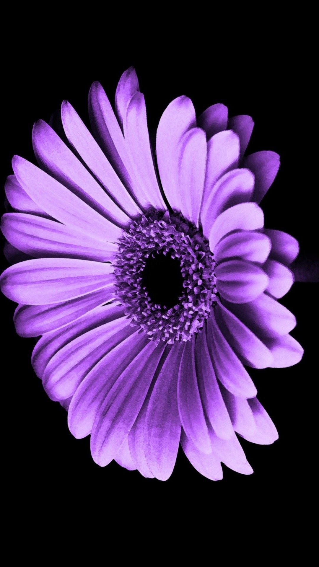 Iphone Flower Wallpaper Hd - HD Wallpaper 