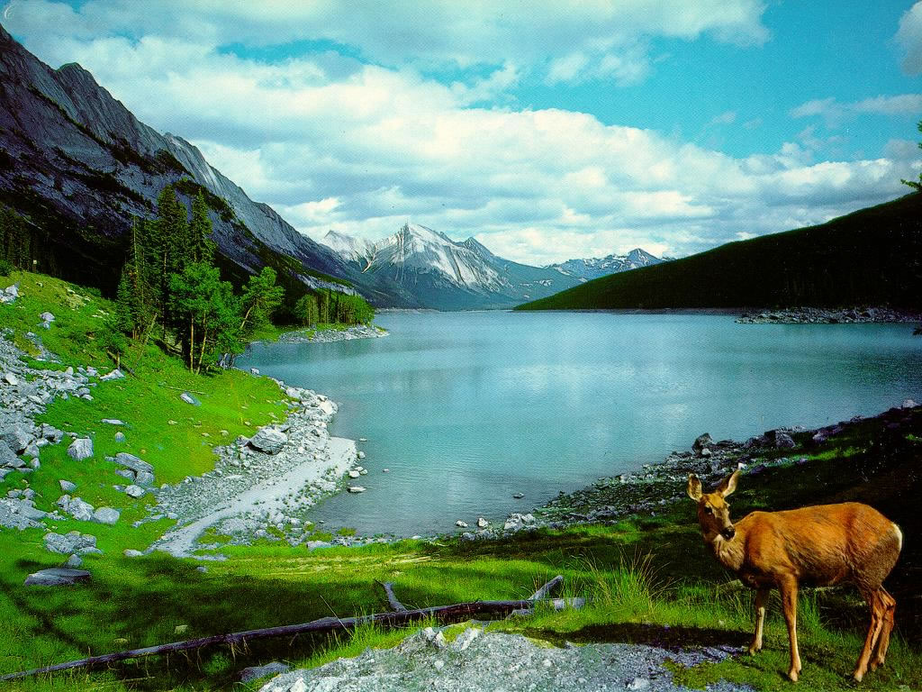 Beautiful Nature Wallpapers Hd Backgrounds Cool Hd - Medicine Lake - HD Wallpaper 