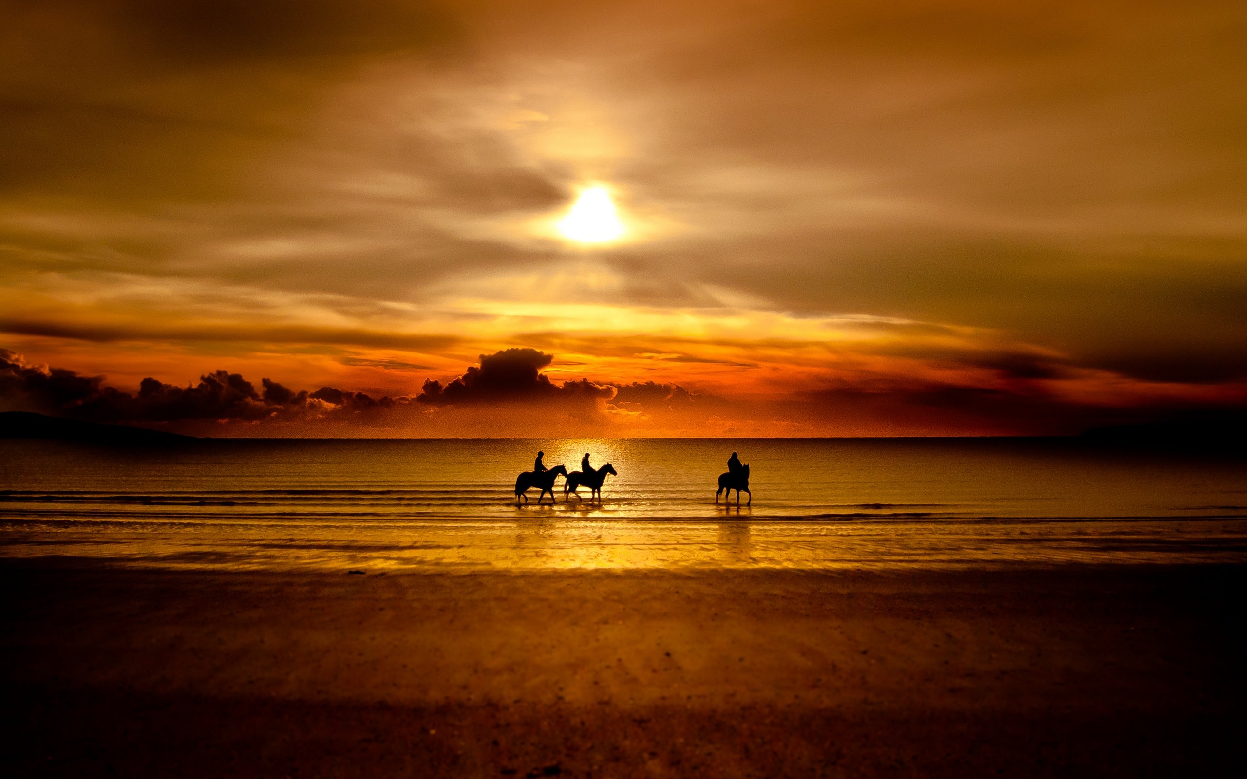 Horse Silhouette Sunset Photography Wallpaper - Horse Walking On Beach - HD Wallpaper 
