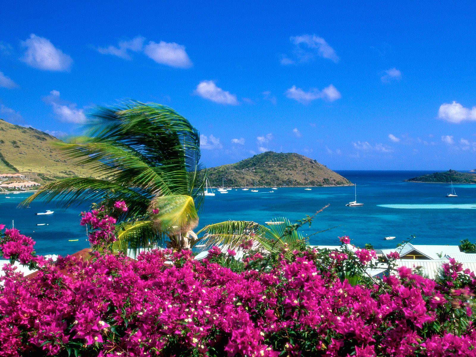 Free Beach Wallpaper Backgrounds - Hawaii Beach With Flowers - HD Wallpaper 