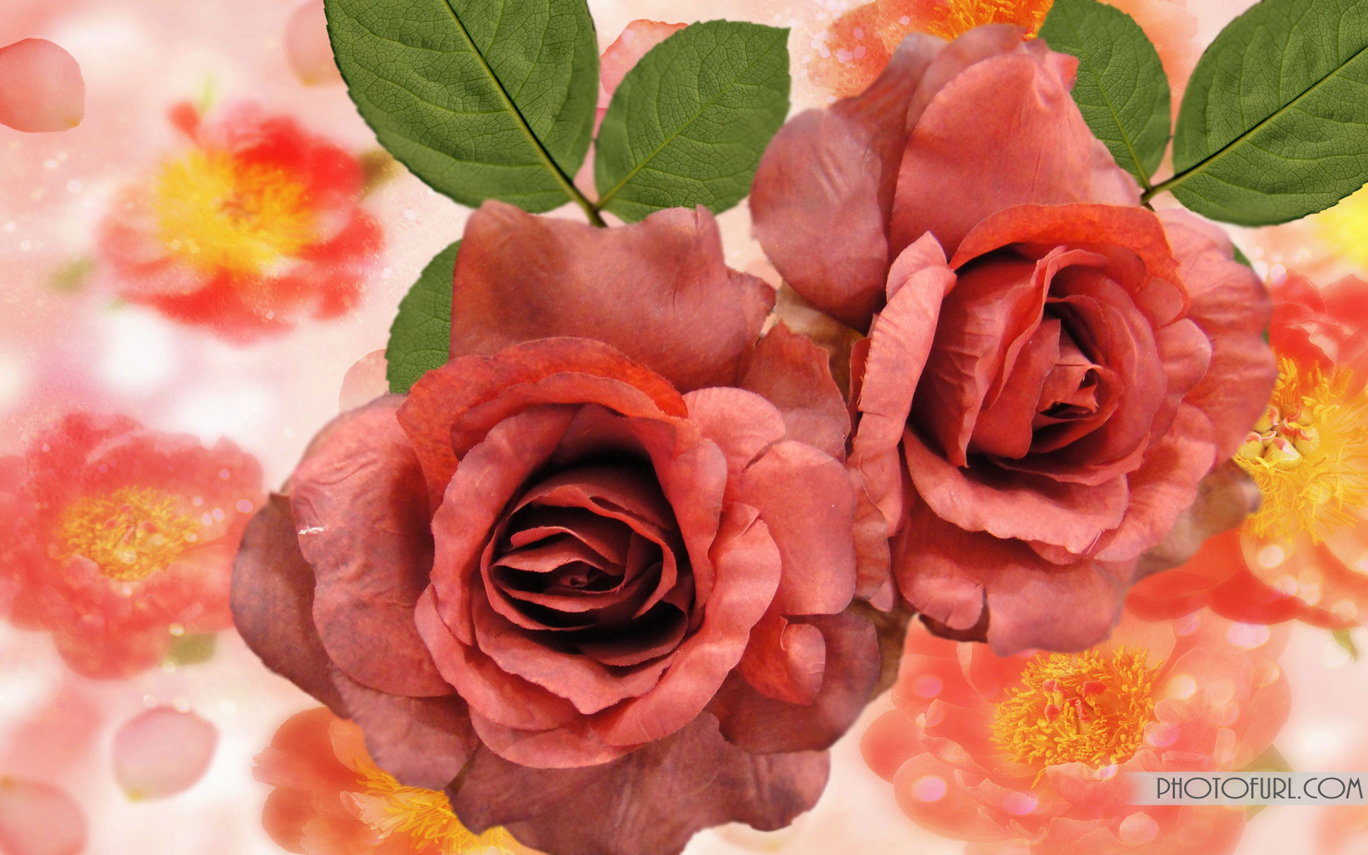 Beautiful Flower Wallpaper For Desktop Photo - HD Wallpaper 