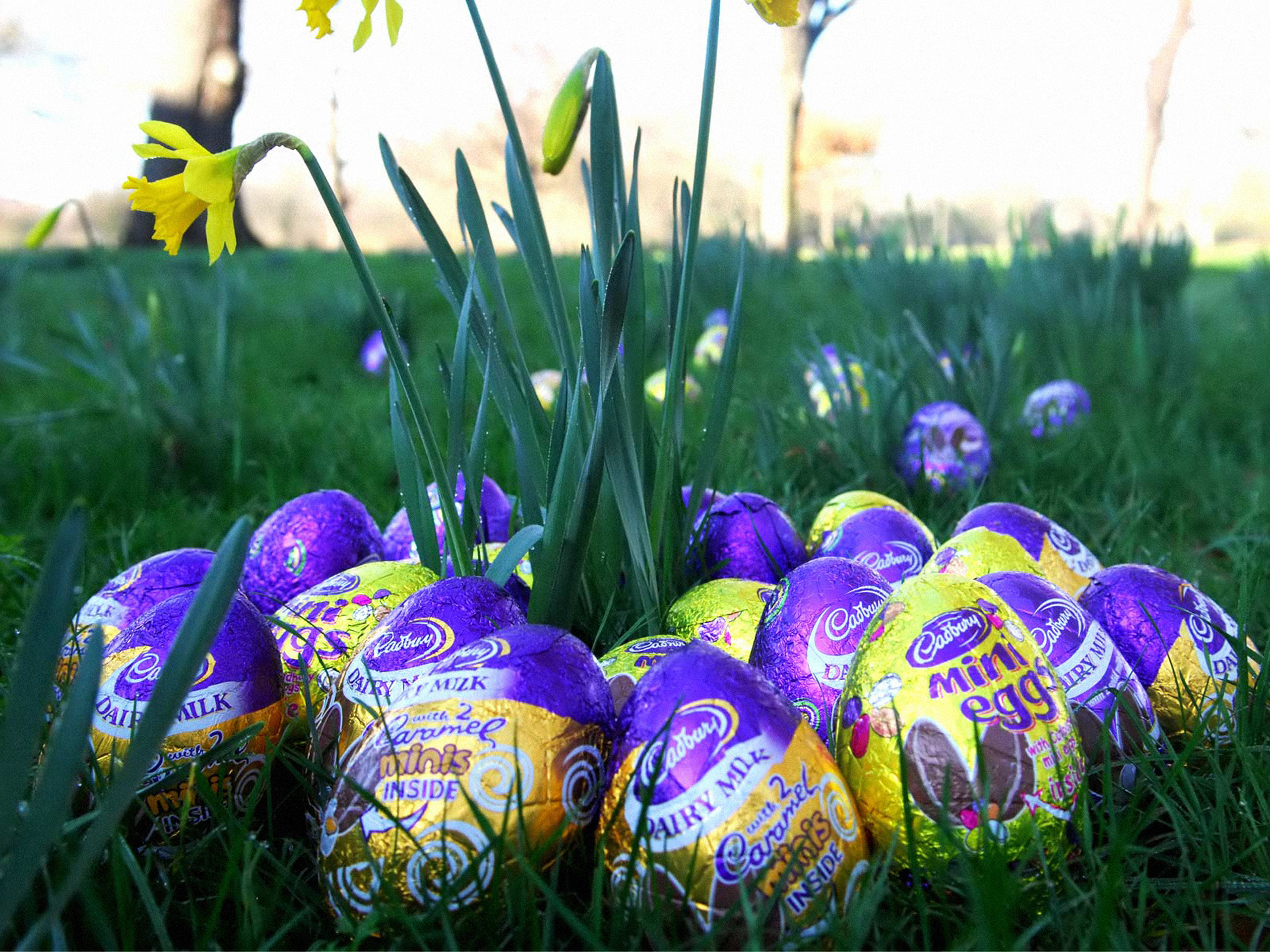 Cadbury Easter Eggs Hd - HD Wallpaper 