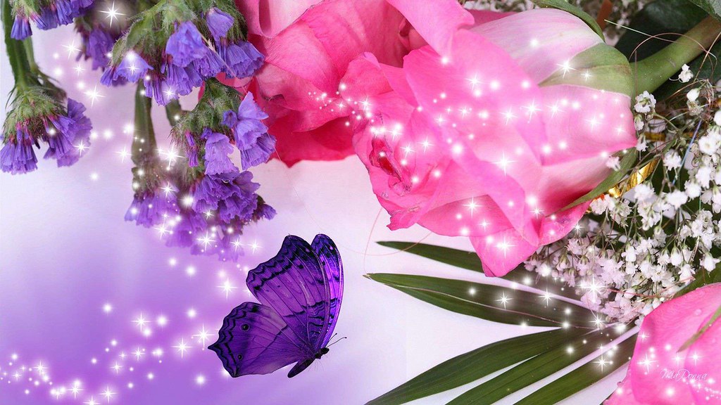 Flowers Pink And Purple - HD Wallpaper 