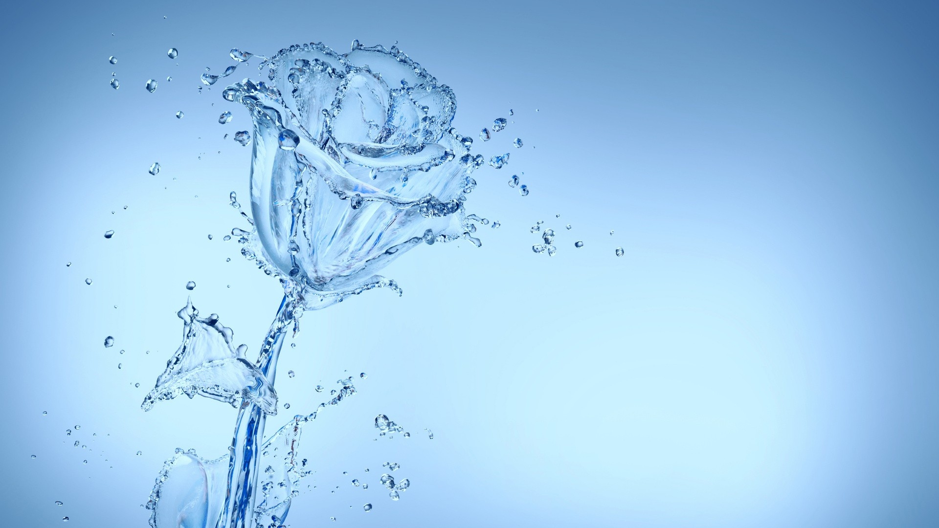 Wallpaper Rose Drop Water - Water Full Screen Rose Wallpaper Hd - HD Wallpaper 