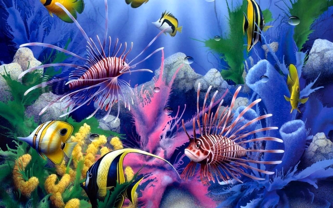Aquarium Hd Wallpapers 1080p - HD Wallpaper 