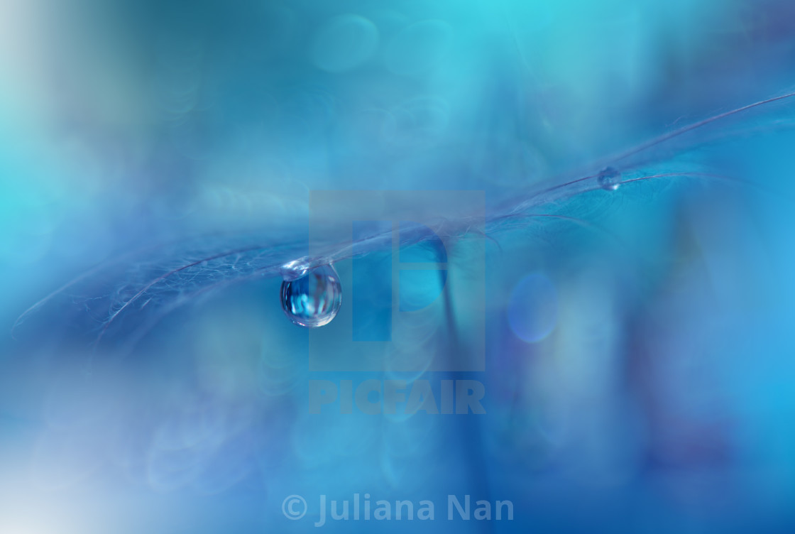 Abstract Macro Photo With Water Drops - Macro Photography - HD Wallpaper 