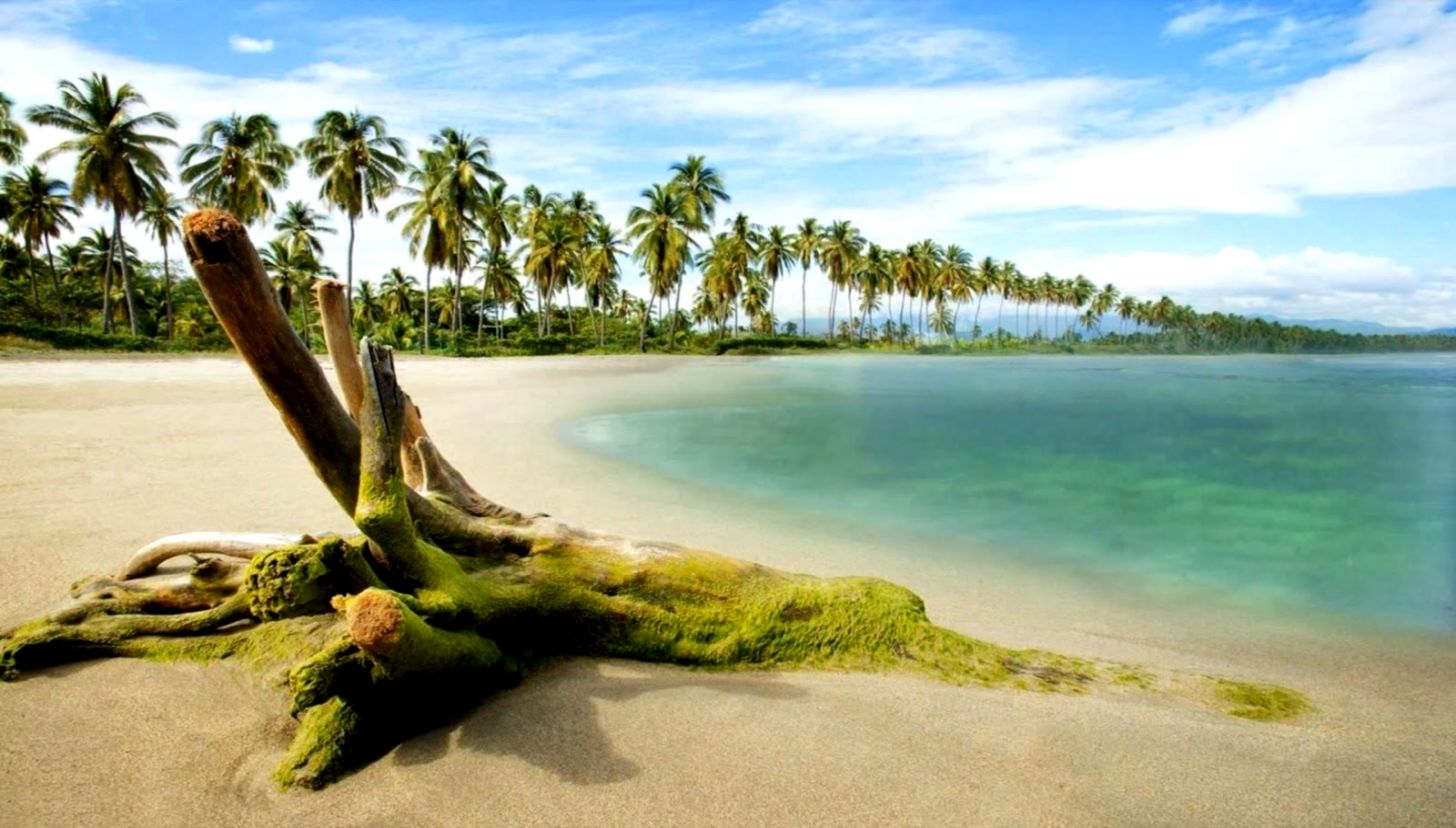 35 Hd Backgrounds Hd 1080p Desktop Wallpaper Widescreen - Full Hd Wallpapers For Pc 1920x1080 Free Download - 1456x828 Wallpaper 35 Hd Backgrounds Hd 1080p Desktop Wallpaper Widescreen - Full Hd Wallpapers For Pc 1920x1080 Free Download - 1456x828 Wallpaper