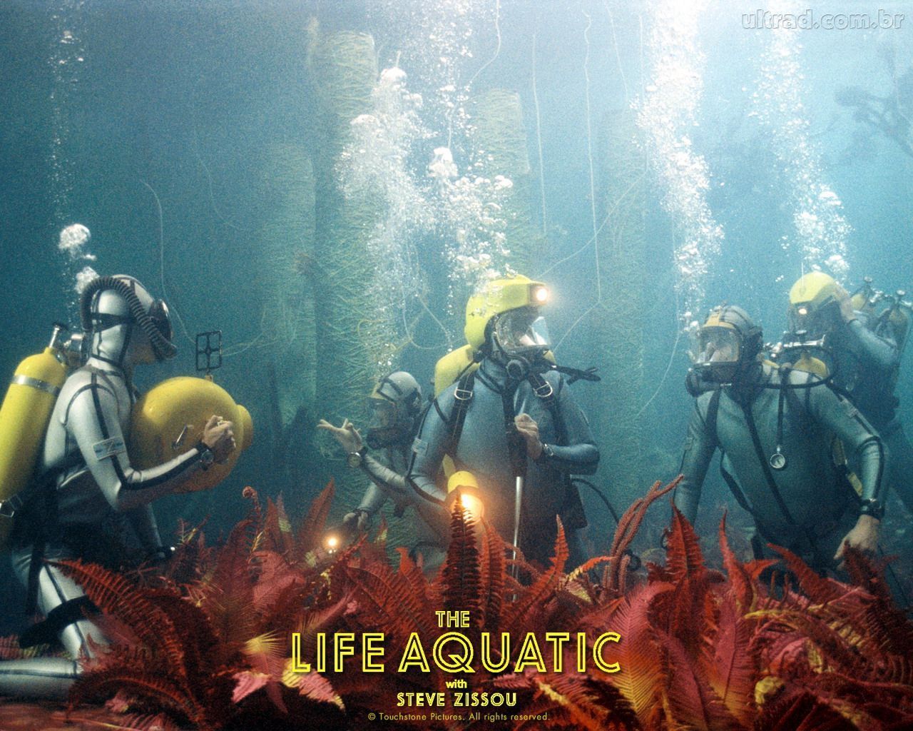 Tla - Life Aquatic With Steve Zissou Underwater - HD Wallpaper 