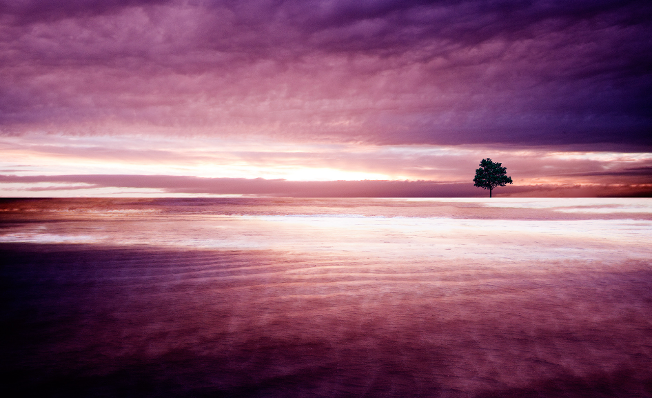 Hd Nature Wallpaper - Nature Hd Wallpaper Purple - 946x577 Wallpaper
