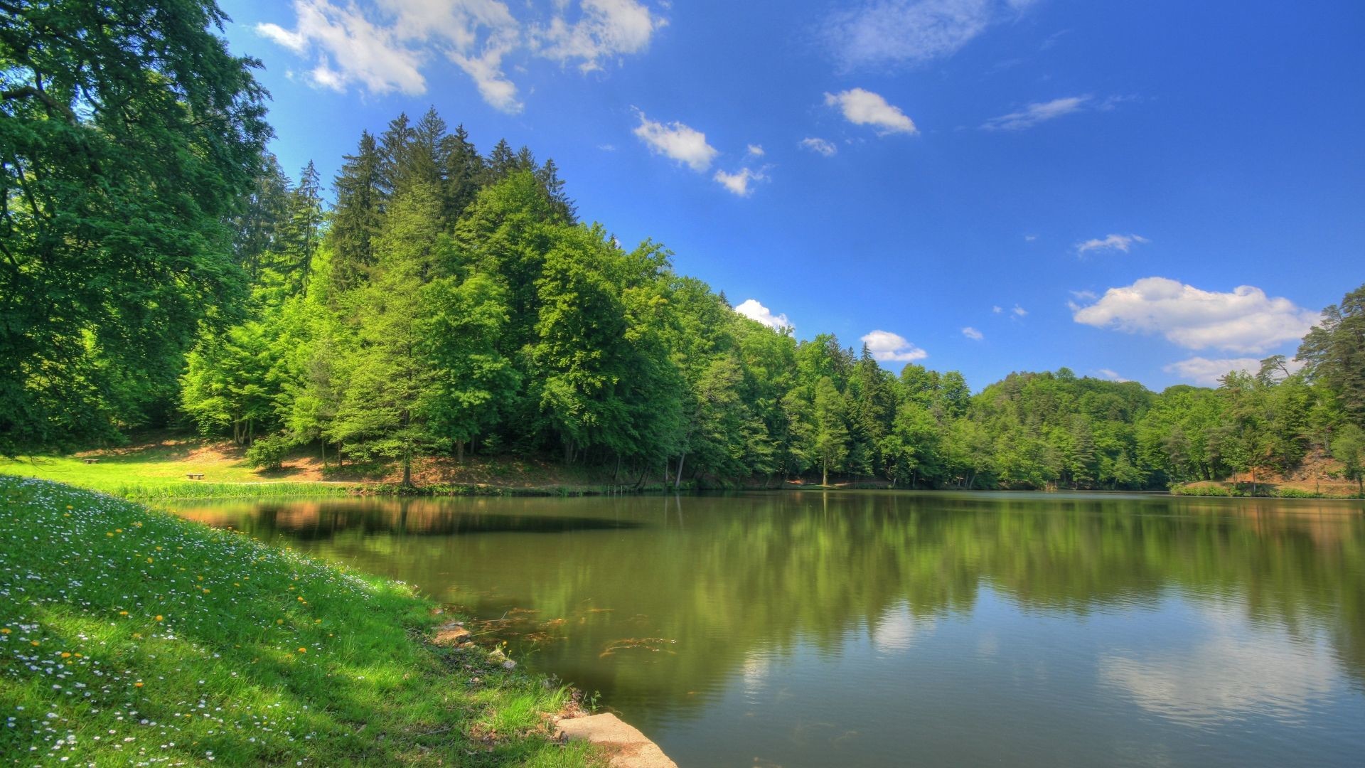 1920x1080, Wallpapers Scenery Hd Water Tree Nature - Lake Background - 1920x1080 Wallpaper 1920x1080, Wallpapers Scenery Hd Water Tree Nature - Lake Background - 1920x1080 Wallpaper