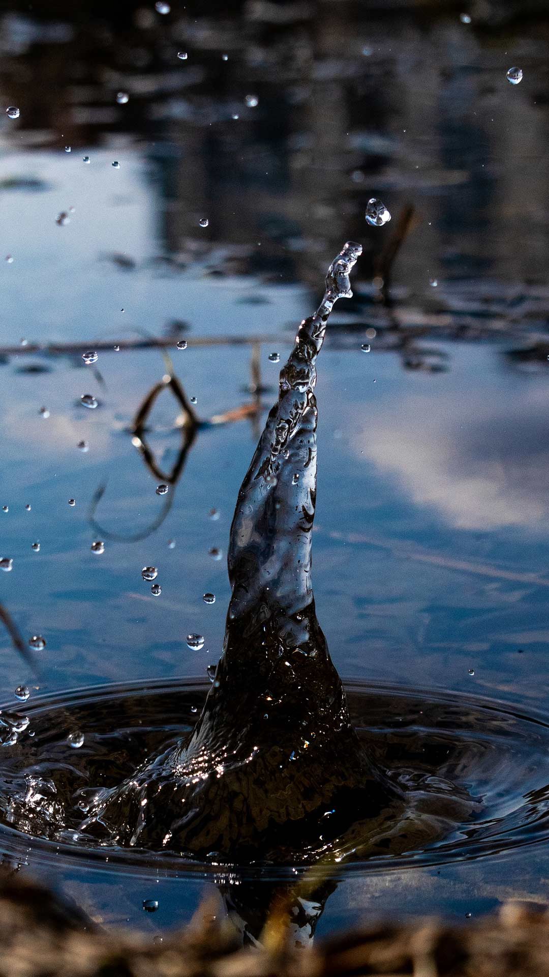 Reflection - HD Wallpaper 