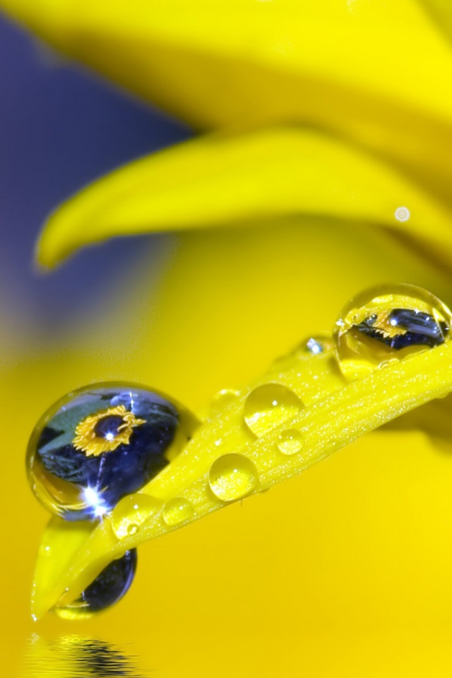 Sa Aveti Grija De Voi - HD Wallpaper 