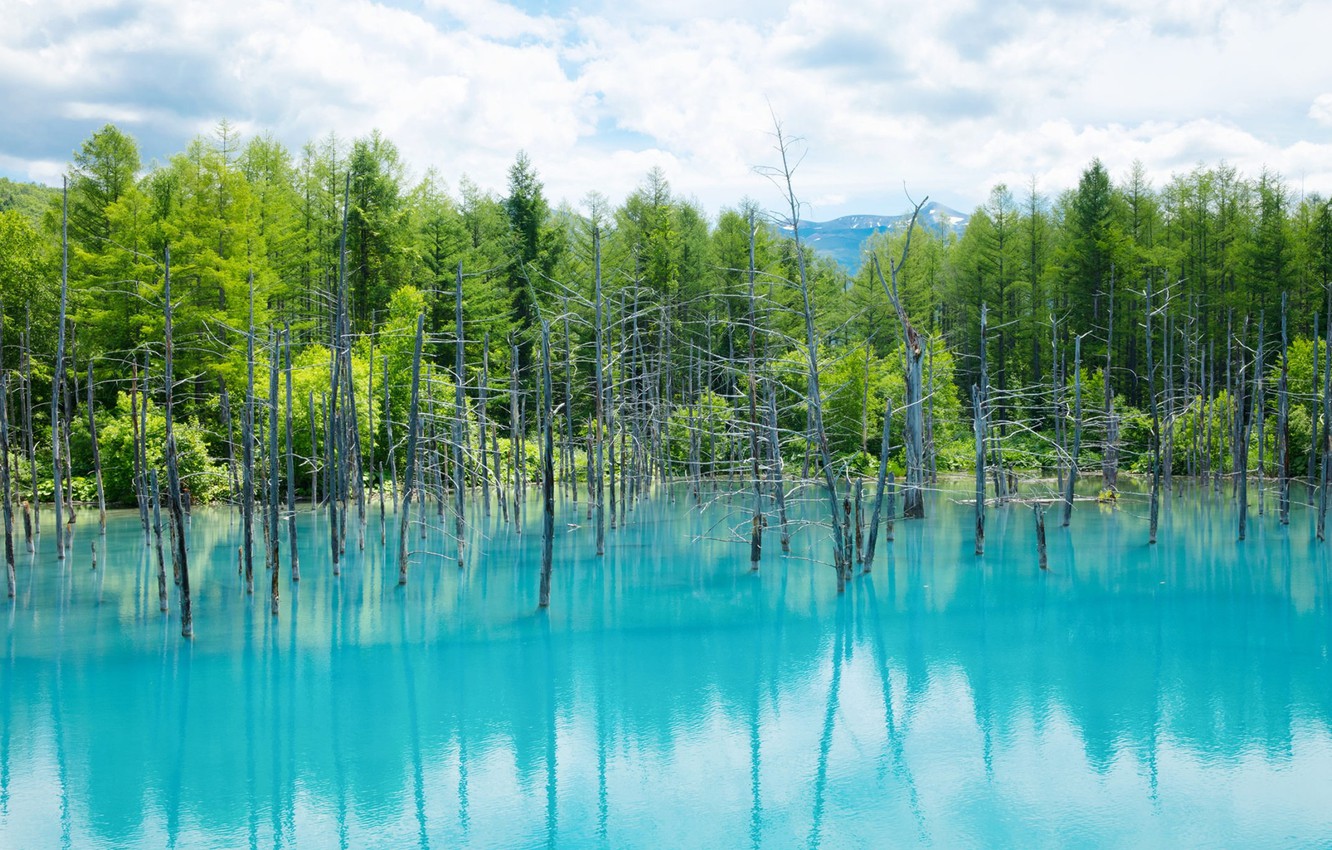 Photo Wallpaper Nature, Water, Trees, Biei, Blue Pond - Shirogane Blue Pond Winter - HD Wallpaper 