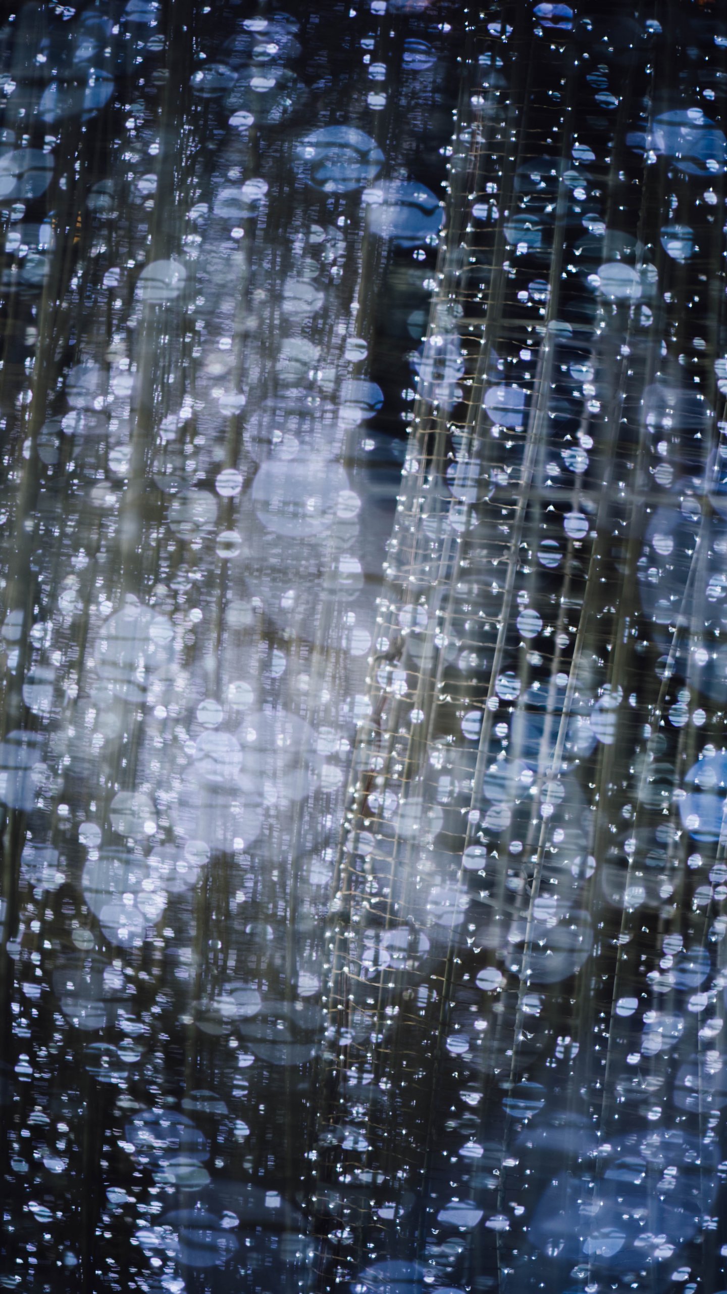 Wallpaper - HD Wallpaper 