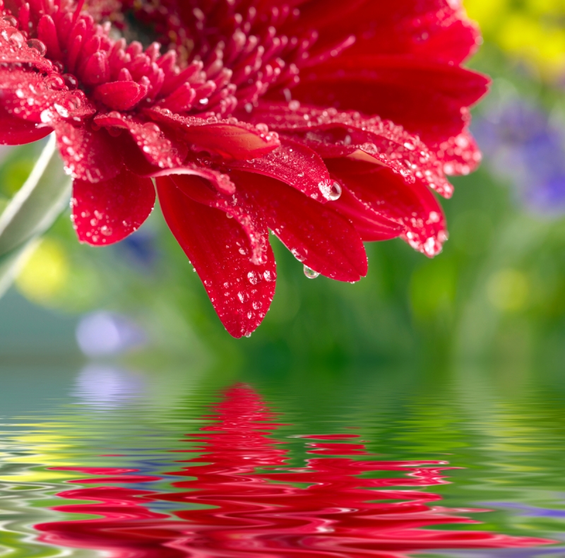 Water Wallpaper For Walls - HD Wallpaper 